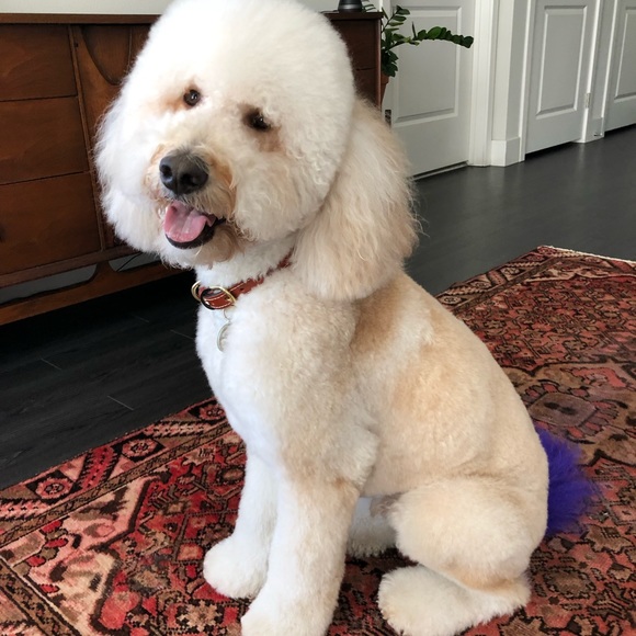 Take a look around! - Picture 2 of 3